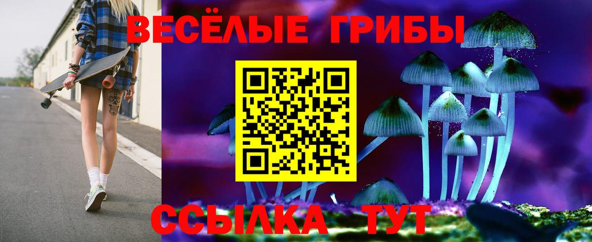 Волгодонск  Псилоцибиновые грибы GOLDEN TEACHER  Вход с VPN  Галлюциногенные грибы прущие грибы 